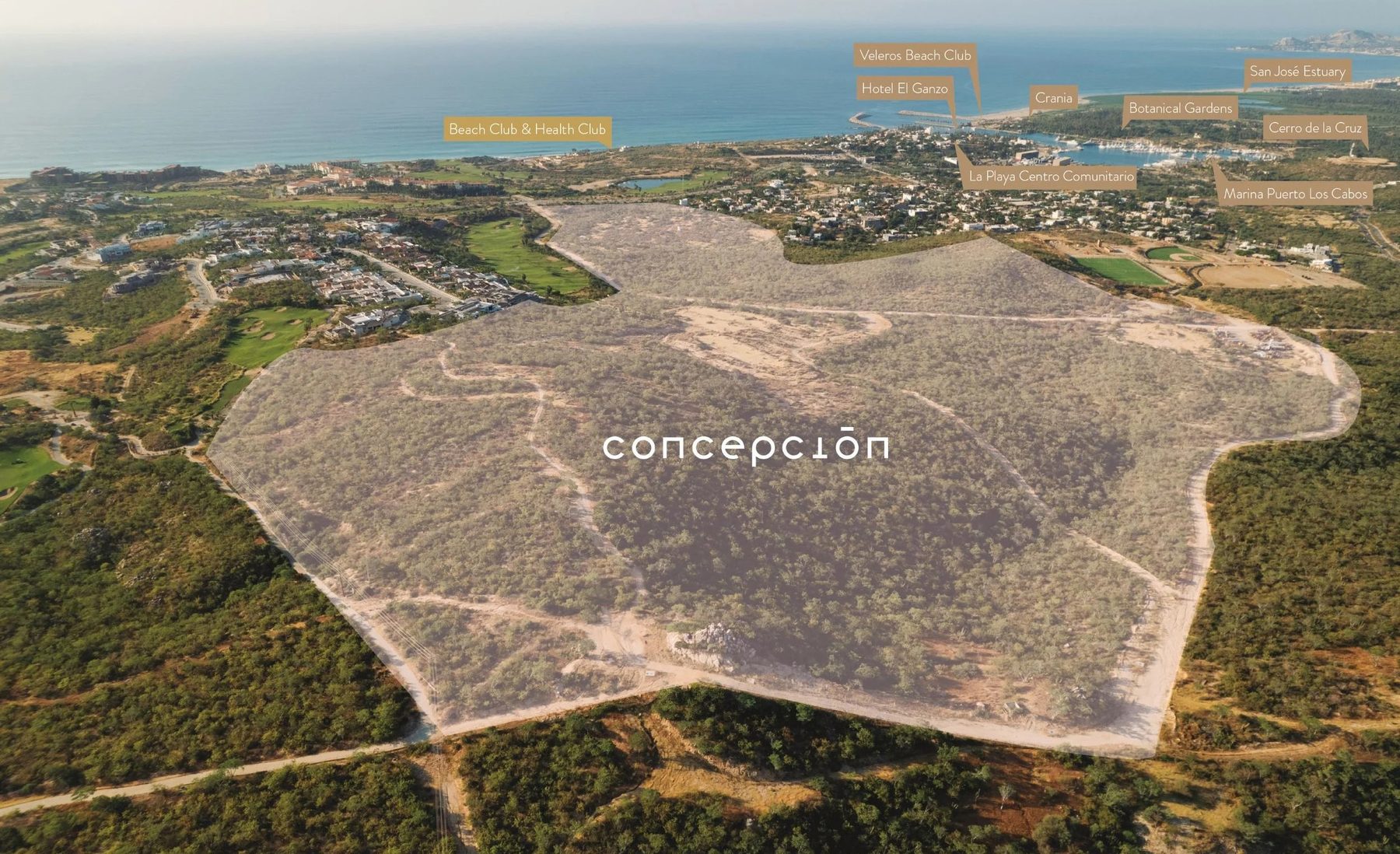 Concepción coastline, Puerto Los Cabos